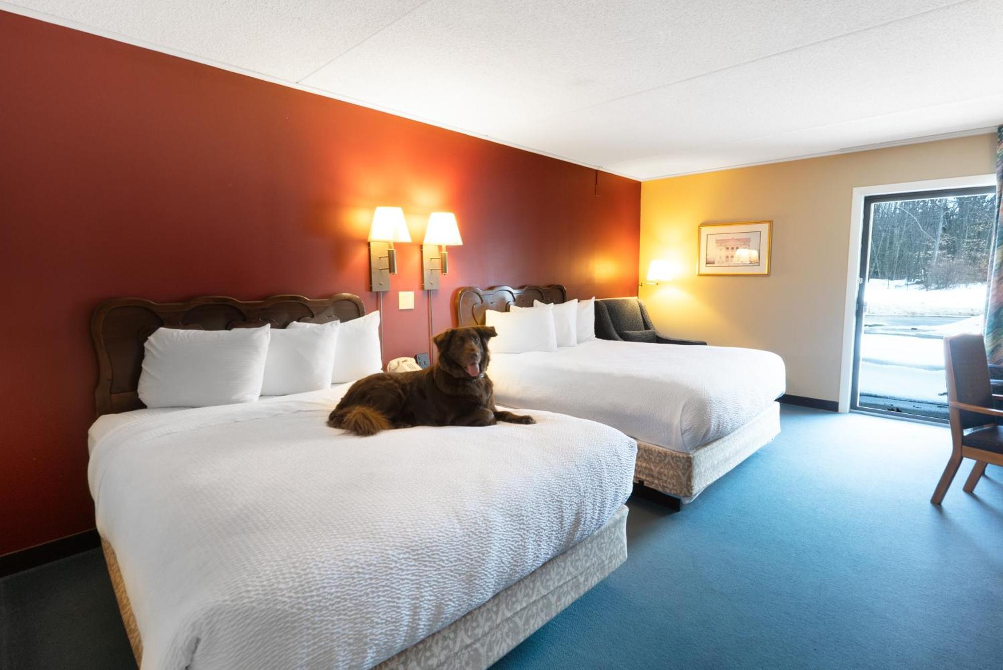 Fireside Inn & Suites Gilford Exterior foto